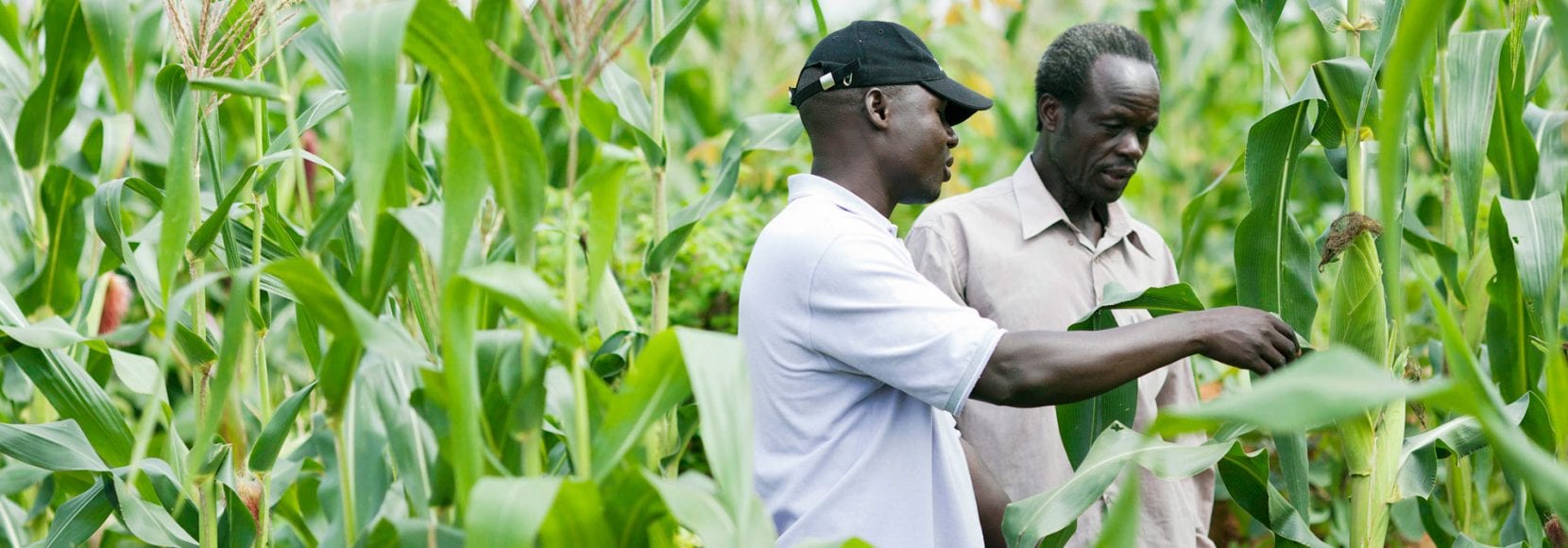 Careers at TechnoServe - Our nonprofit's success in creating business solutions to poverty is due largely to our team, 90 percent of whom are host-country nationals working in the field.