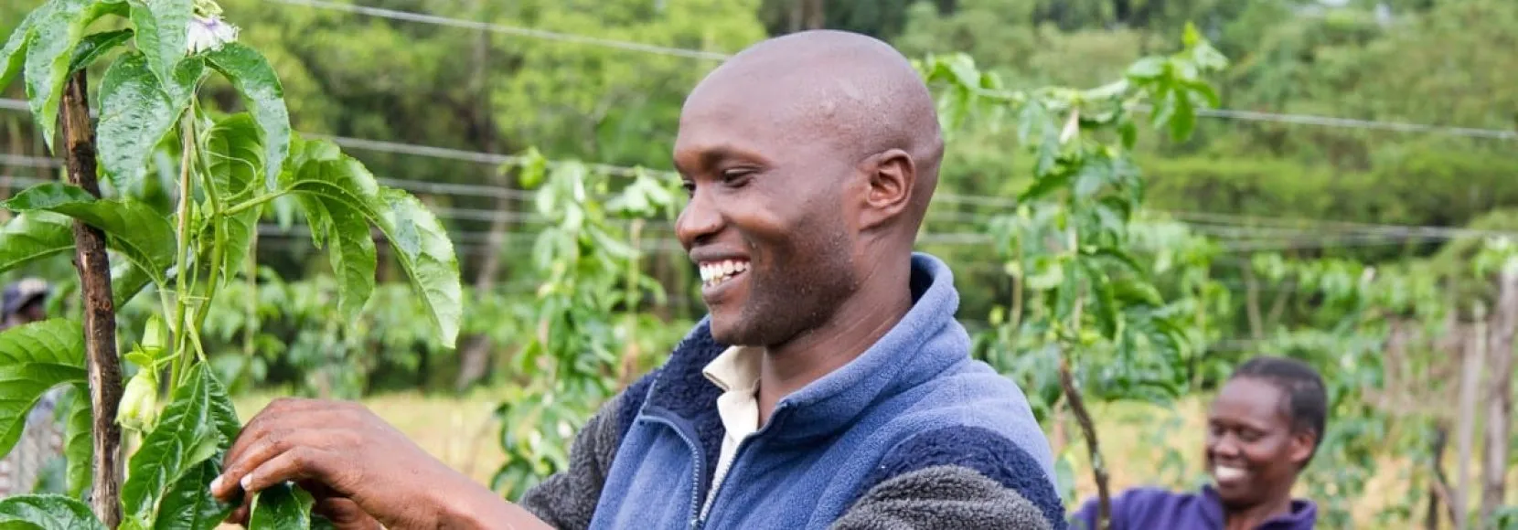 how technoserve fights poverty - farmer and participant in Project Nuture in Kenya