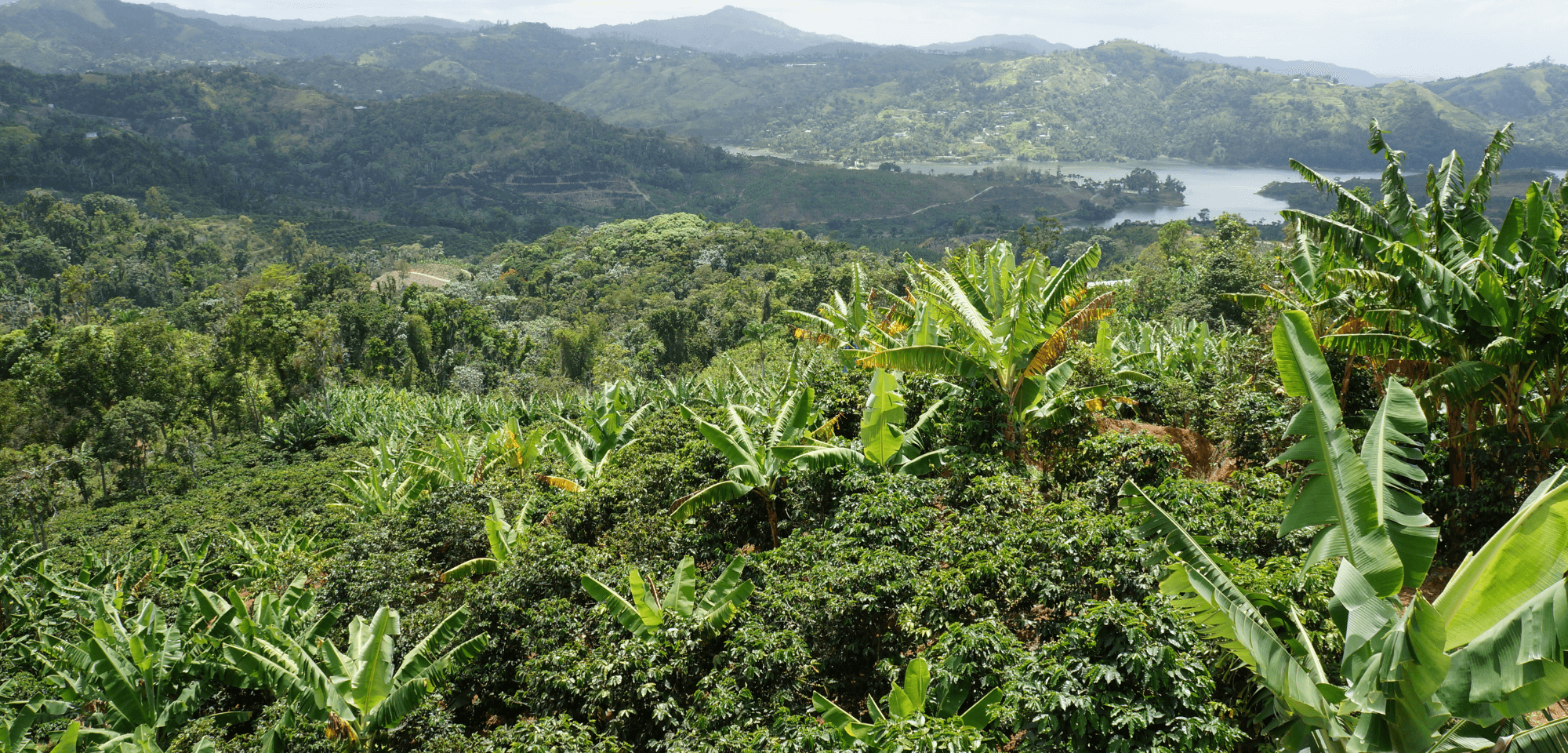 Puerto Rico landscape