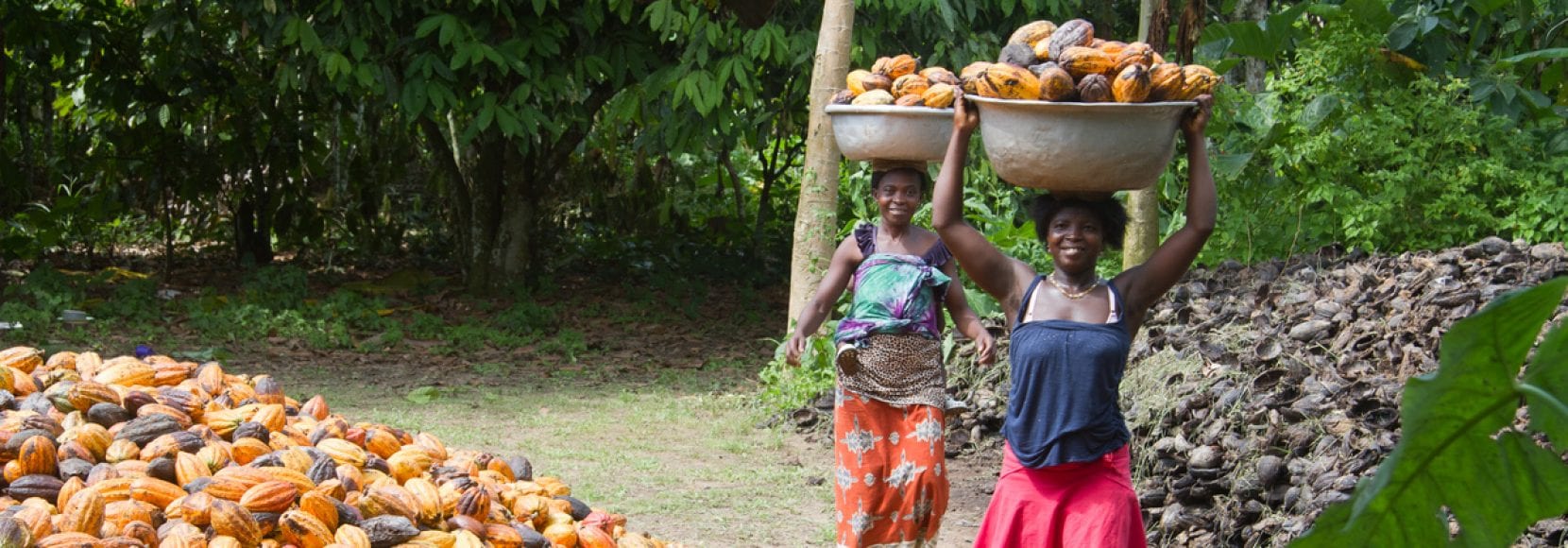 These womeTechnoServe's business solutions to poverty help enterprising people worldwide, like these women seen carrying cocoa in Cote D'Ivoire
