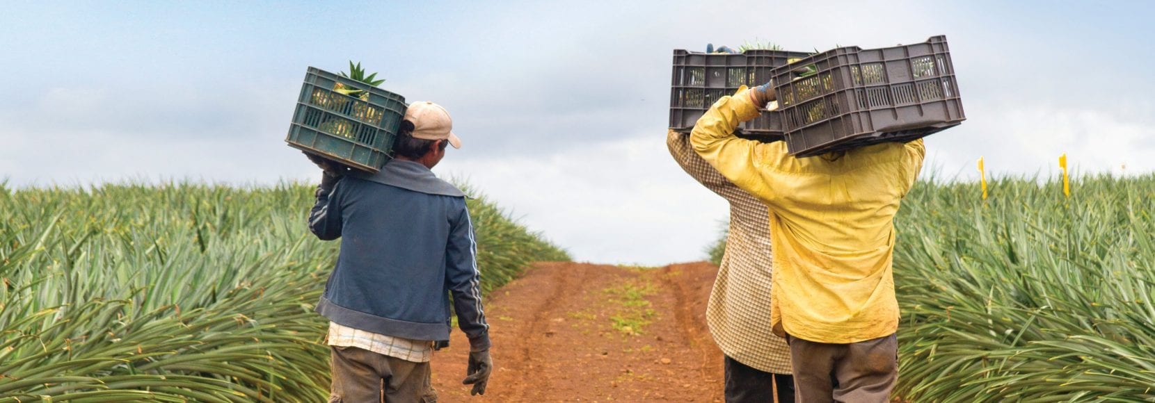 farmers in Nicaragua walk down road carrying their harvest