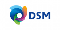 DSM logo