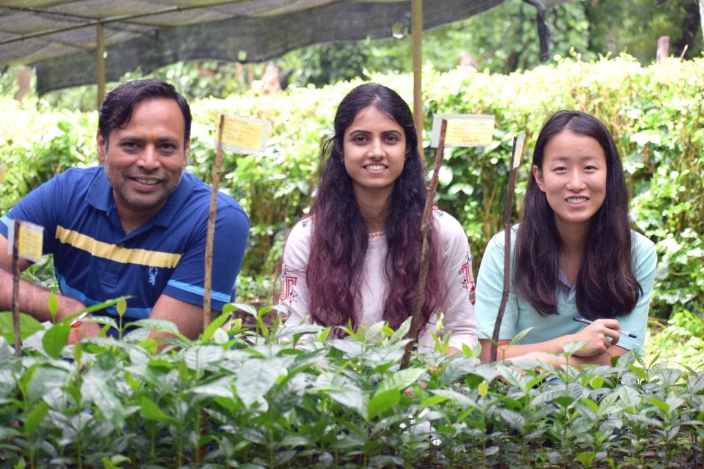 TechnoServe Fellow Avery Shi in India