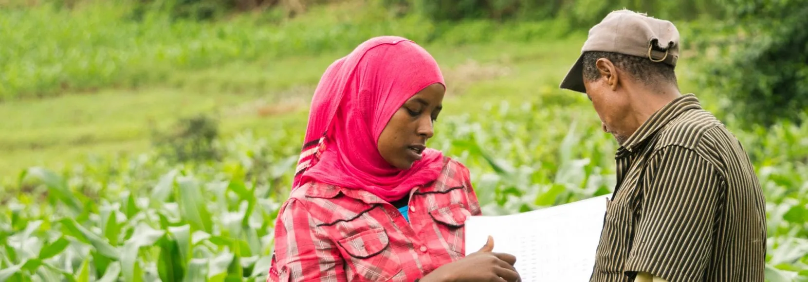 fighting poverty means helping smallholder farmers like these ones who survey crops on farm