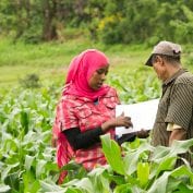 fighting poverty means helping smallholder farmers like these ones who survey crops on farm