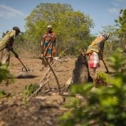 Group of people working on tilling their land