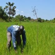 African man in grass