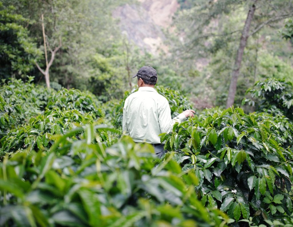 Coffee helps promote innovation and emerging technology - Photos Marcela