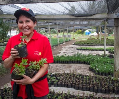 woman in plant nursery in Chile