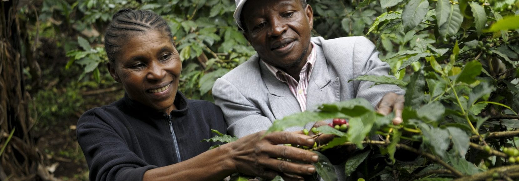 Two people smiling while picking coffee beans
