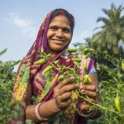 Woman smiling holding plants