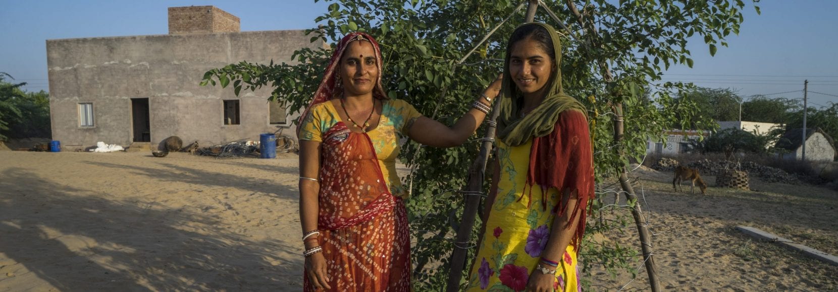 Guar farmers in India