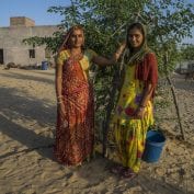 Guar farmers in India