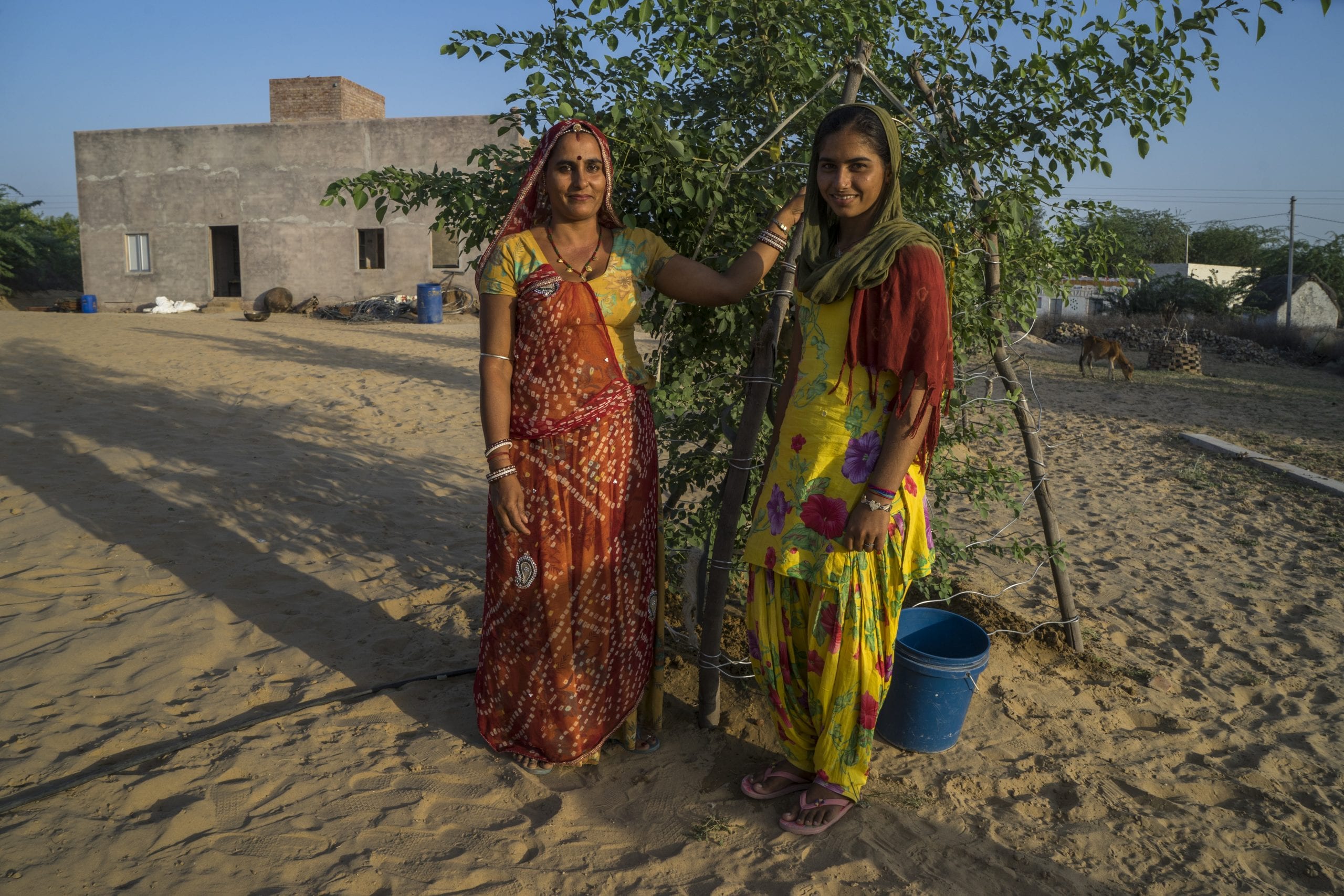 Guar farmers in India 