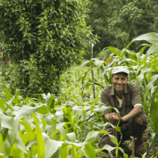 Smiling man sitting in his farm