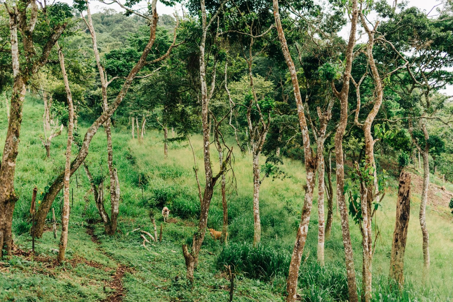 How Much Do You Know About Farmers and Climate Change?