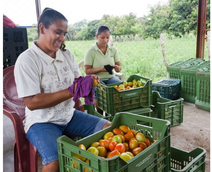 Two woman working with fruit baskets