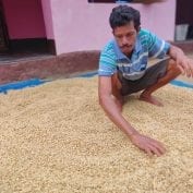 Palika Raju is a coffee farmer in Andhra Pradesh, India