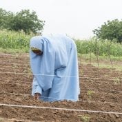 Nigerian woman checking on crops