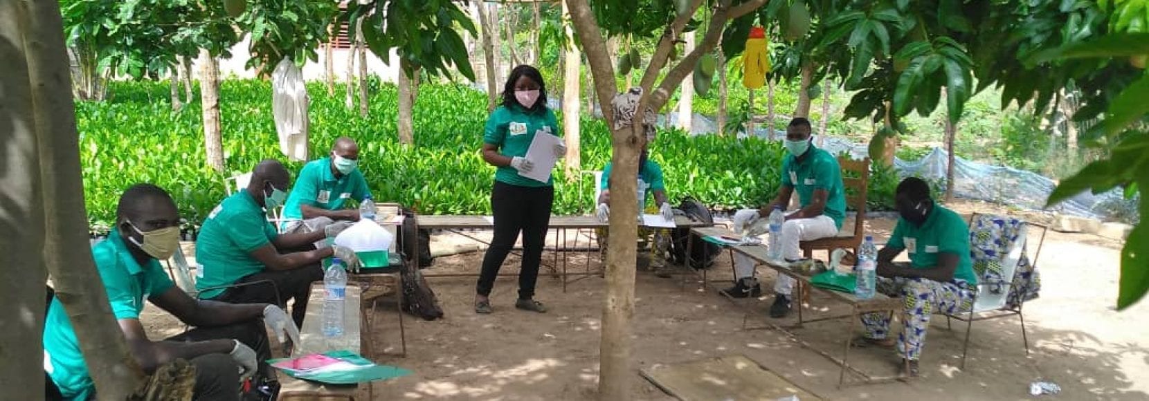 Cashew producers in Benin follow physical distancing guidelines