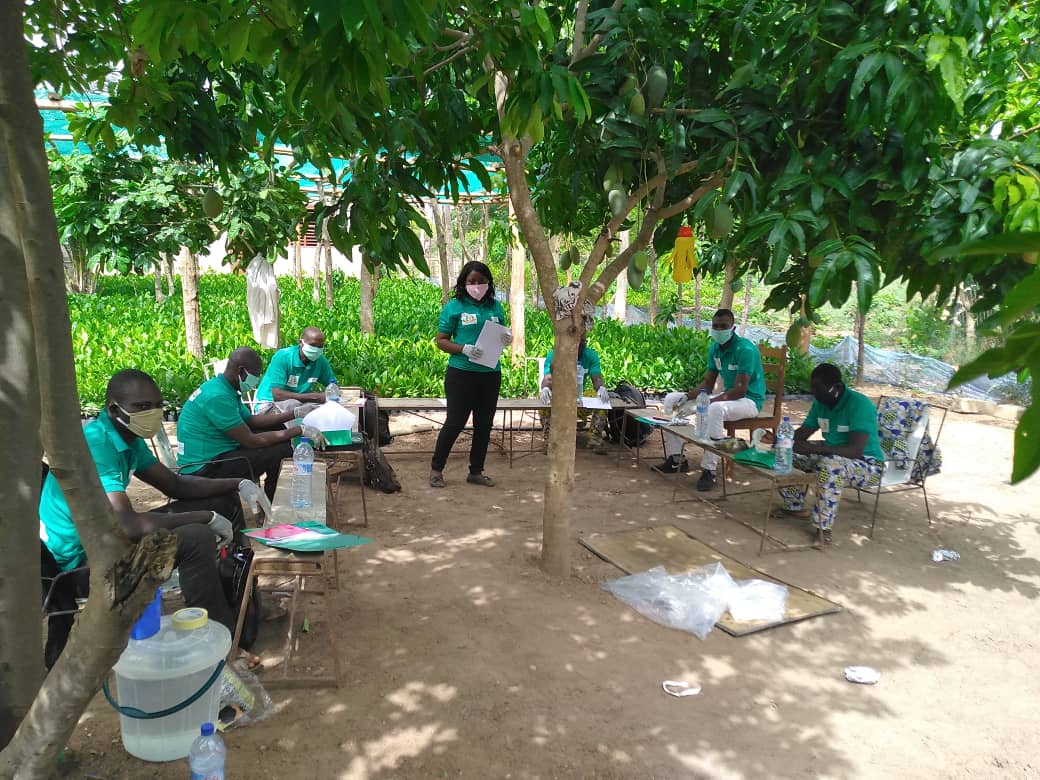 Cashew producers in Benin follow physical distancing guidelines