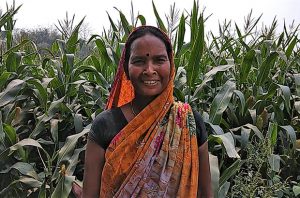 Smallholder farmer in India