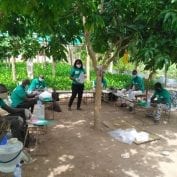 Cashew farmers in Benin