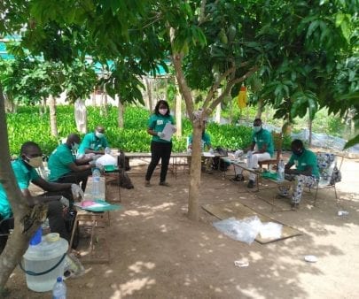 Cashew farmers in Benin