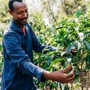 Adugna Feye is a coffee farmer in western Ethiopia