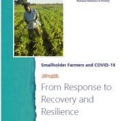 Fom response to recovery and resilience