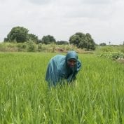 Woman in Nigeria