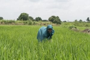 Woman in Nigeria