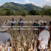 A fresh future in produce