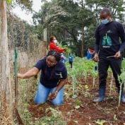 Volunteers participate in Citi's Global Community Day