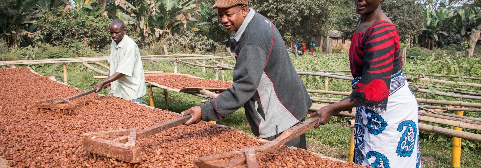 Three people processing coffee in a wet mill in Africa