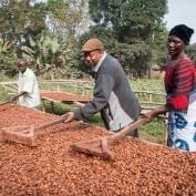 Three people processing coffee in a wet mill in Africa