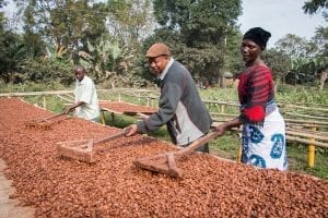 Three people processing coffee in a wet mill in Africa