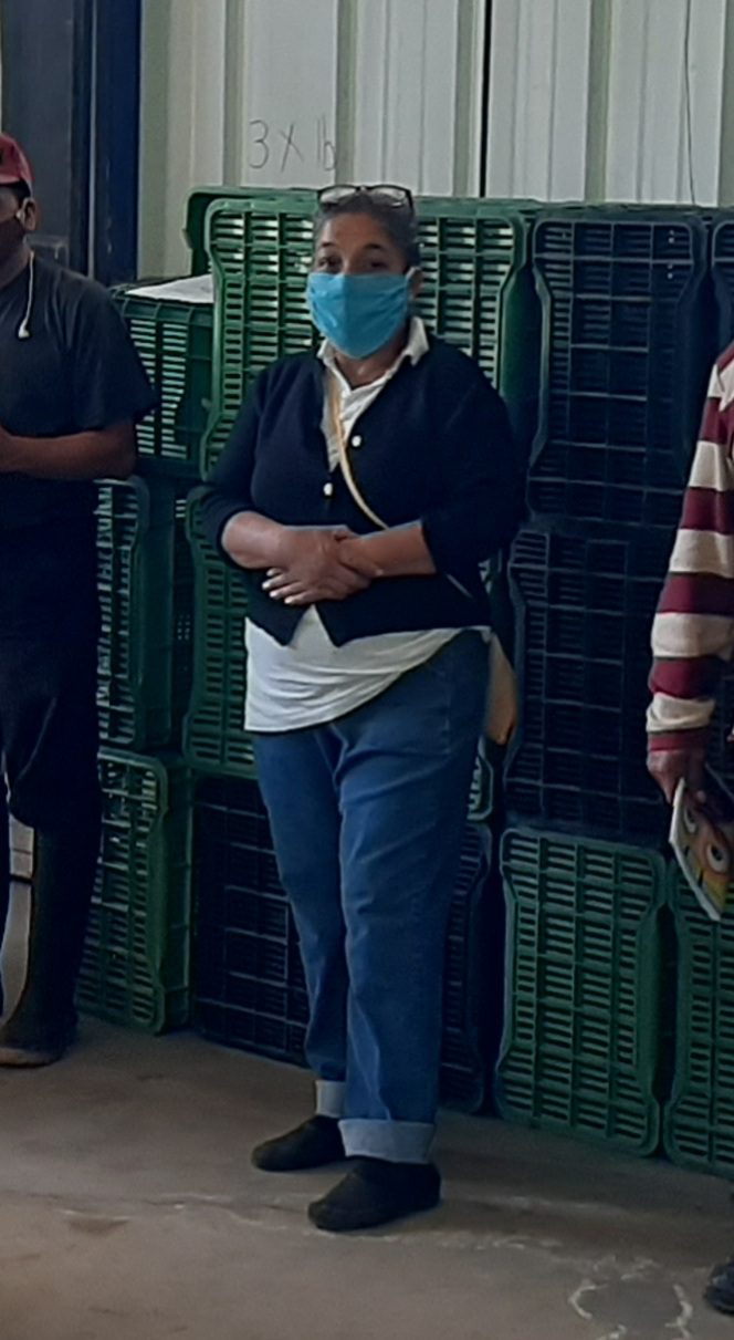 Azucena is an avocado farmer in Guatemala