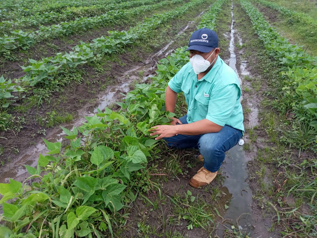 A TechnoServe farmer trainer in Honduras