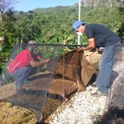 Coffee farmers in Puerto Rico work on their land