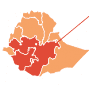 Excerpt of infographic on coffee farming in Ethiopia during the COVID-19 pandemic