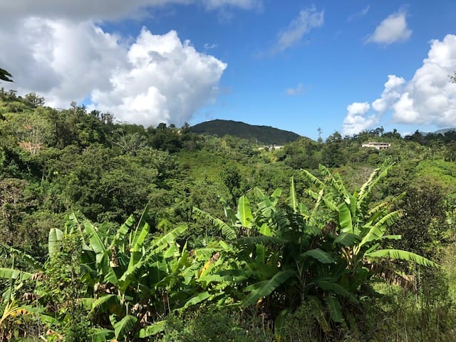 A landscape in Puerto Rico
