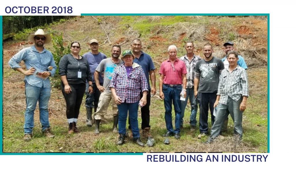A group of coffee farmers standing in a field in Puerto Rico facing the camera