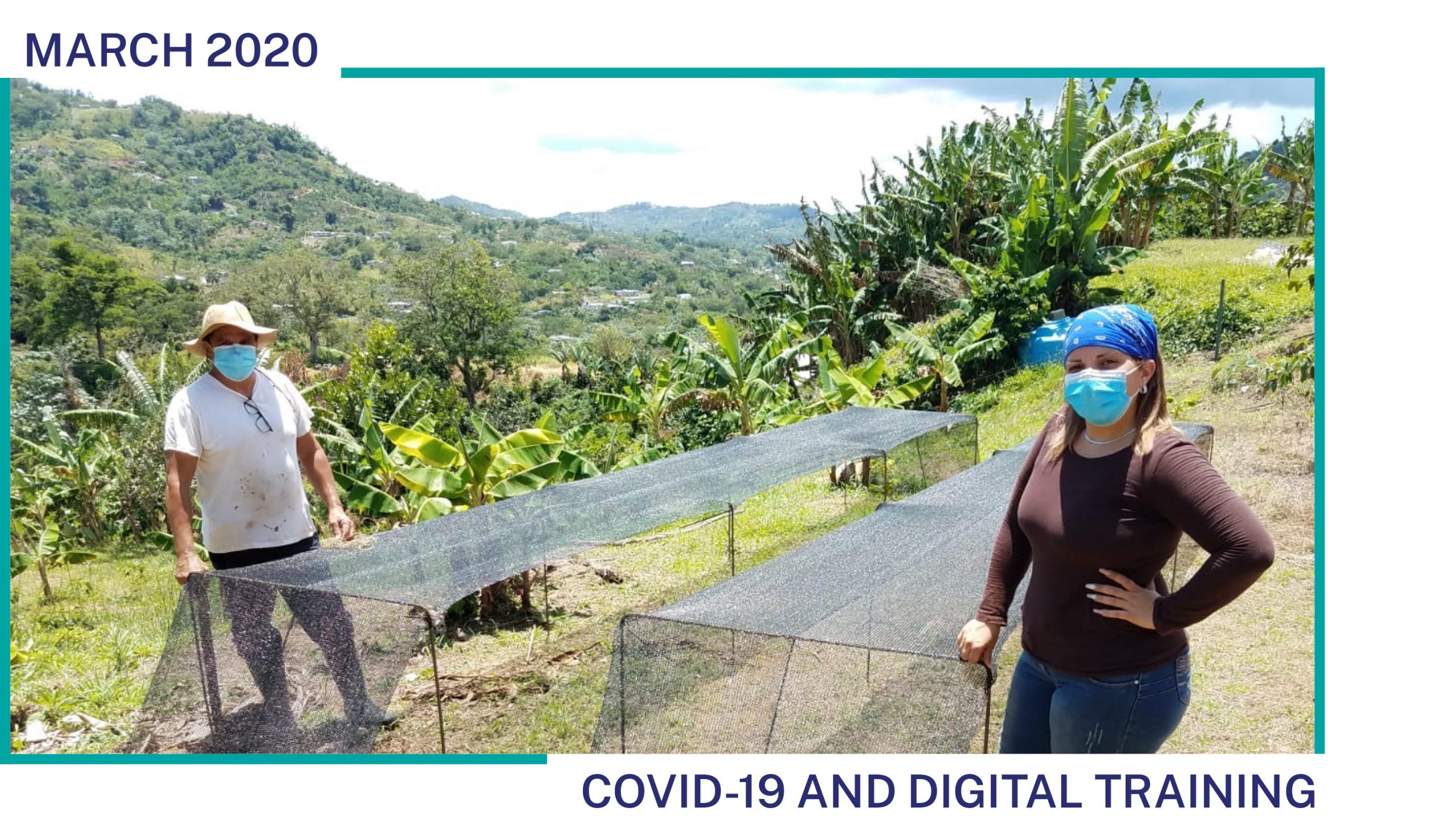 TechnoServe farmer trainer conducts a socially-distant farm visit