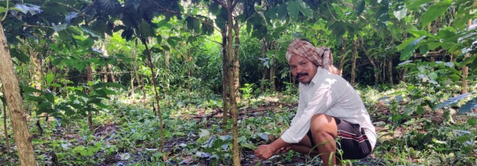 Mottadam Jogiraju tends to his farm in Visakhapatnam district, India