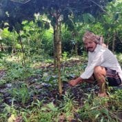 Mottadam Jogiraju tends to his farm in Visakhapatnam district, India