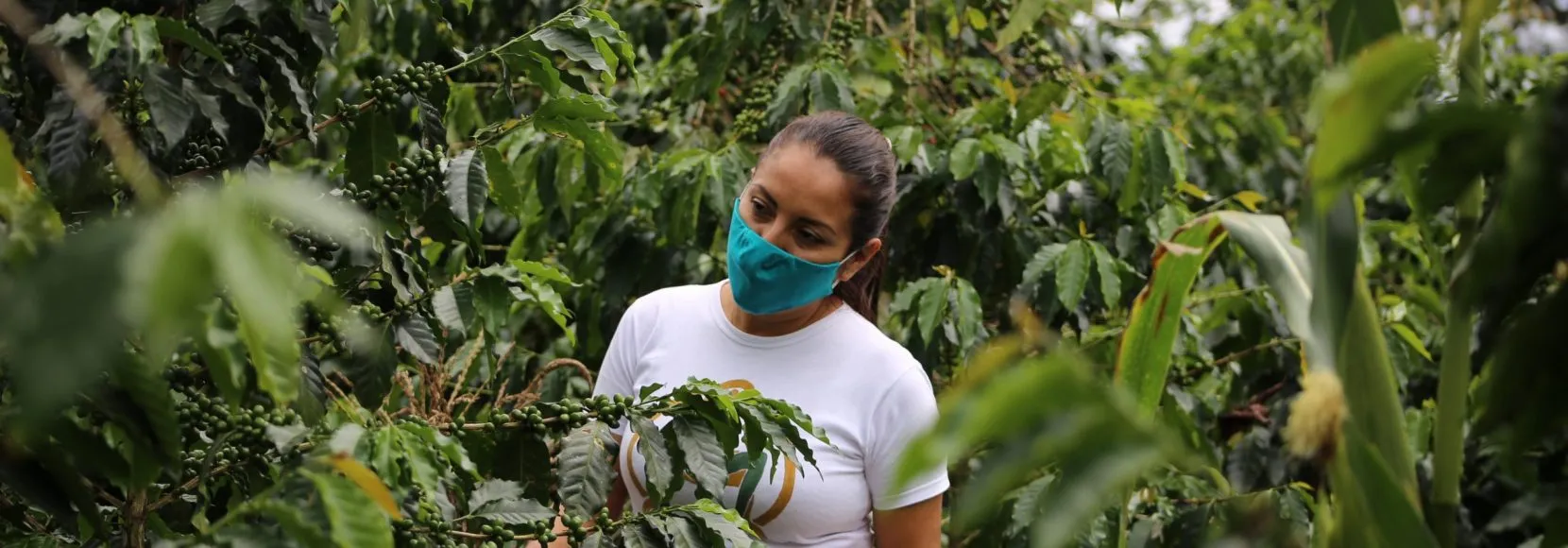 Juliana stands in a coffee field in Peru