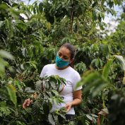 Juliana stands in a coffee field in Peru