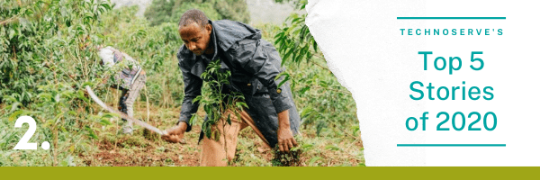 A coffee farmer in Ethiopia tends to his field