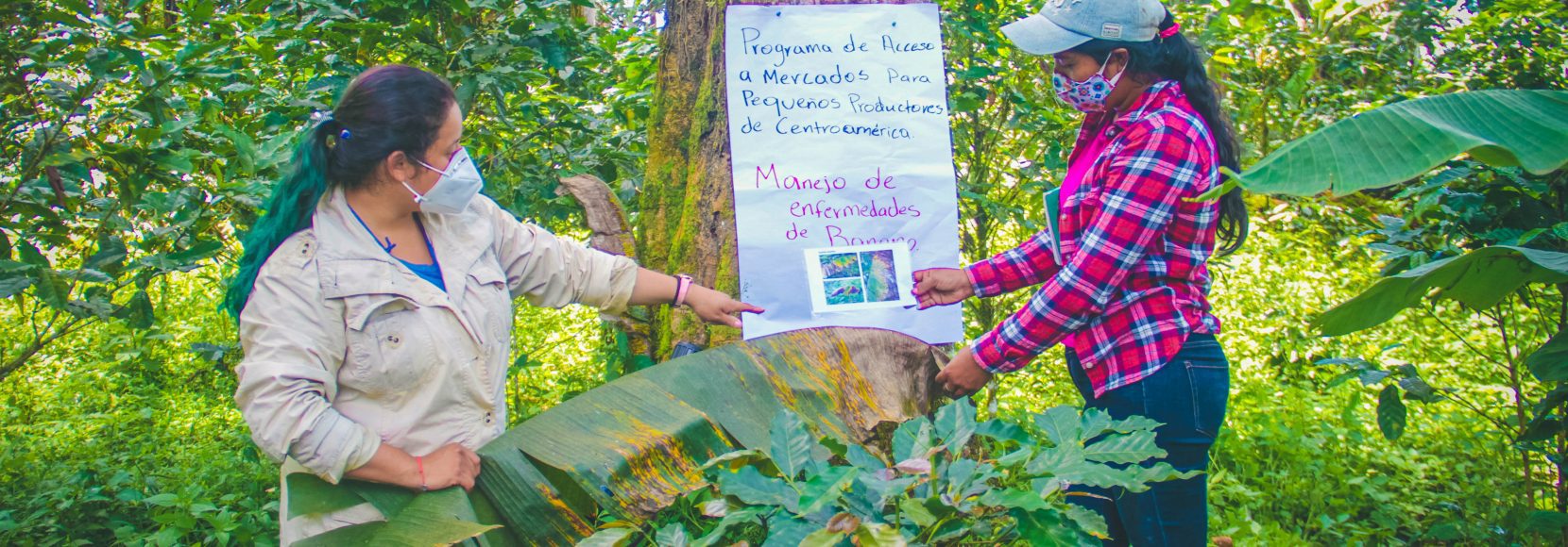 TechnoServe coffee farmers and trainer and client in Nicaragua